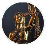 Criminal Defense Lawyer